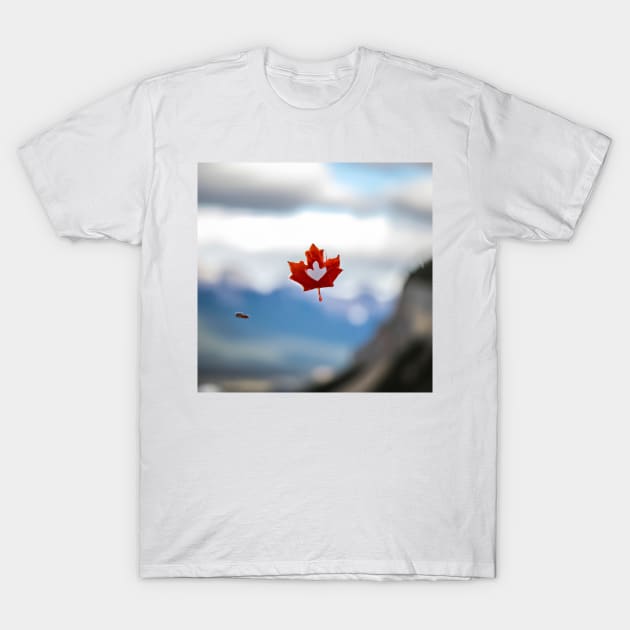 Maple Leaf Falling T-Shirt by FPV YOUR WORLD